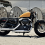 Harley Davidson Sportster Forty-Eight фото